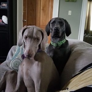 Meet your Posher, Sommer